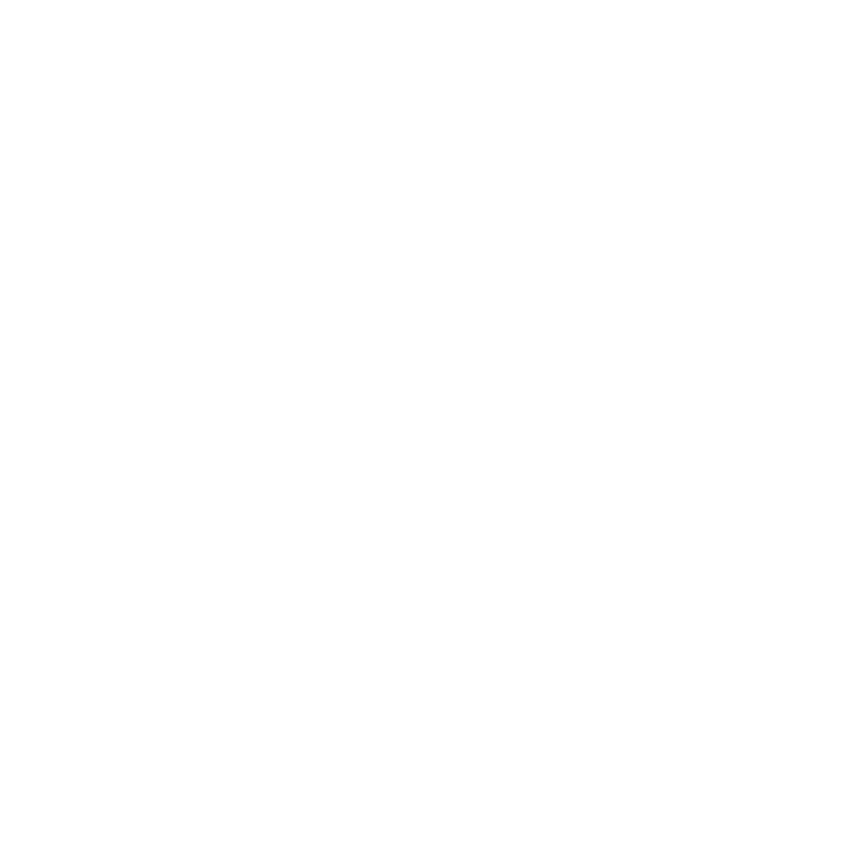 APPSarise logo